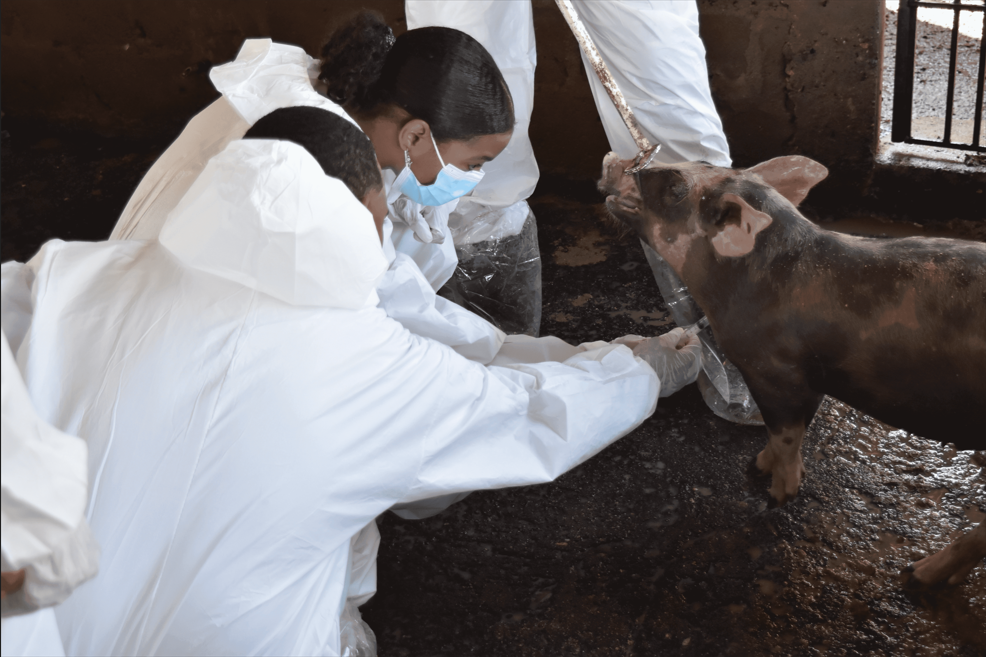 Asistencia Veterinaria