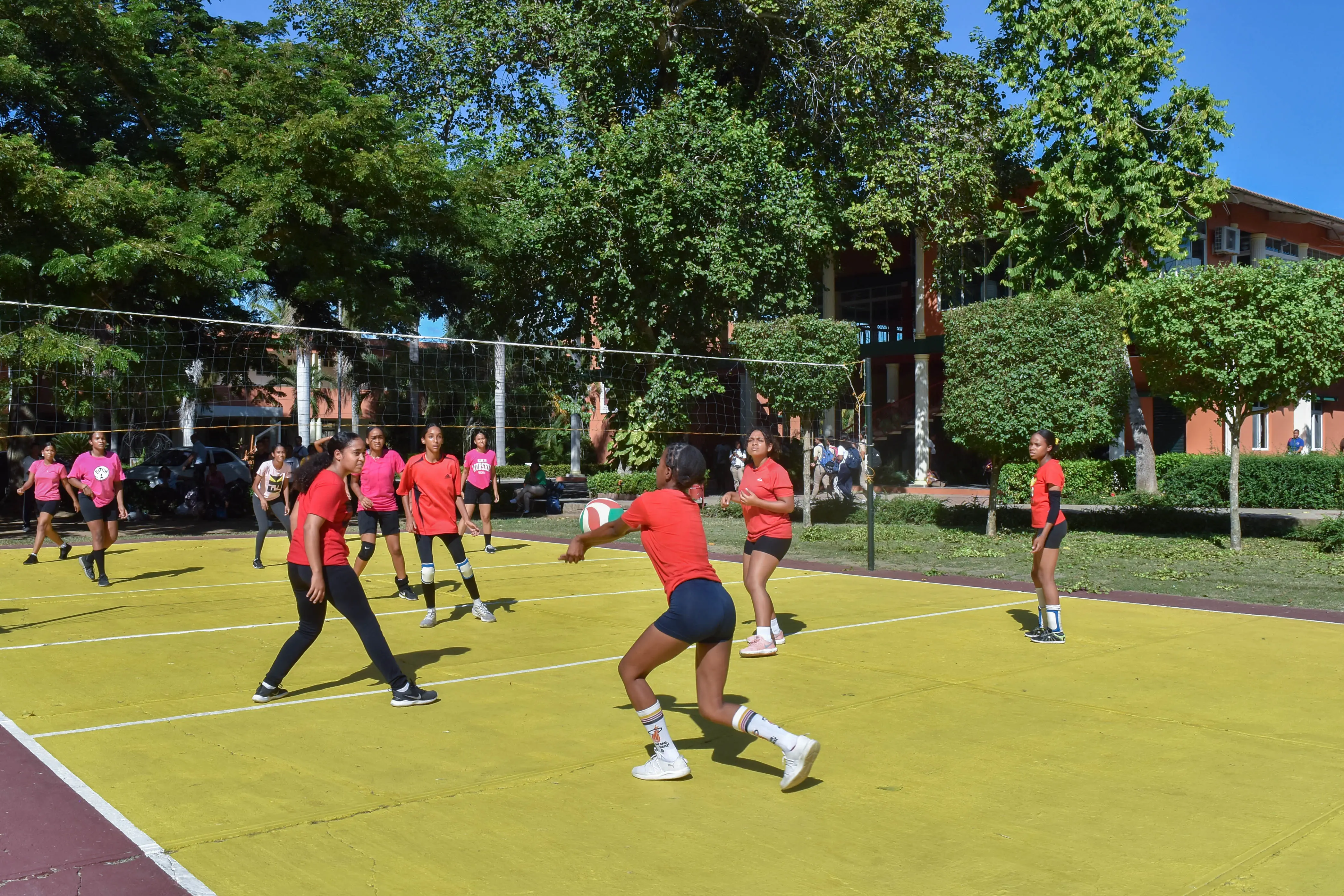 Voleibol